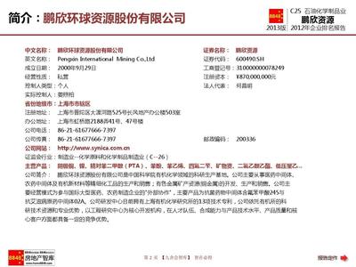 鹏欣资源2013年报企业排名及薪酬报告(石油化学制品业资产负债表)鹏欣环球资源股份_九舍会智库